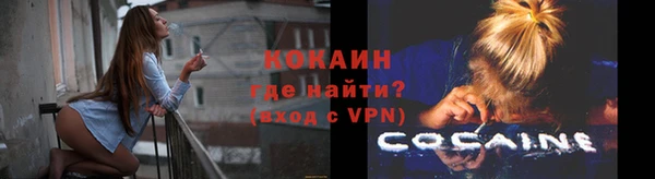 мдпв Елизово