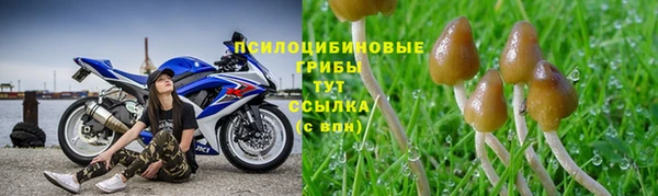 mdma Елабуга
