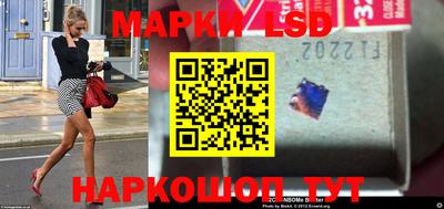 амф Гатчина