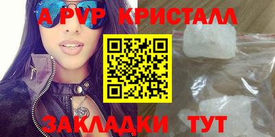 амф Гатчина