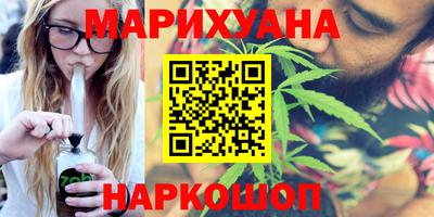 амф Гатчина
