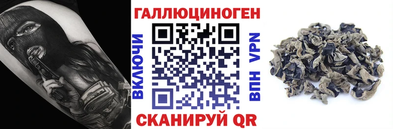 OMG вход  Избербаш  Галлюциногенные грибы Psilocybine cubensis  купить закладку 