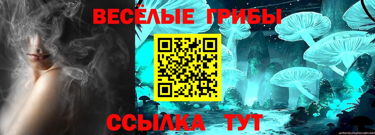 Псилоцибиновые грибы прущие грибы Избербаш